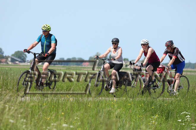 F13706.jpg
